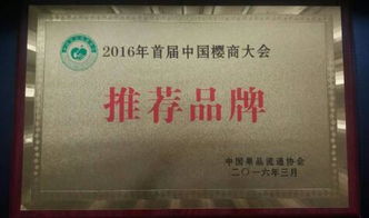 設立中國品牌日 農產品品牌崛起的新機遇與出入境服務優化